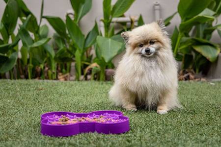 MISKA SPOWALNIAJĄCA JEDZENIE TACKA DO LIZANIA DLA MAŁEGO PSA LICKIMAT SLODOG RÓŻOWA 25x19cm