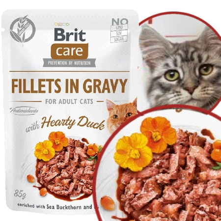 BRIT CARE CAT MOKRA KARMA DLA KOTA KACZKA W SOSIE SASZETKA 85g