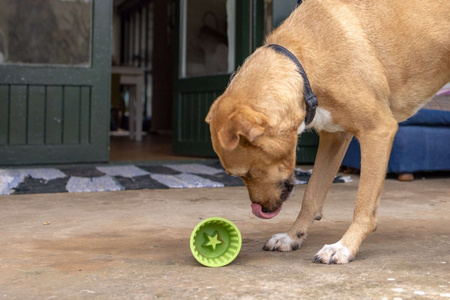 MATA TACKA DO LIZANIA DLA PSA KOTA ANTYSTRESOWA SPOWALNIAJĄCA JEDZENIE LICKIMAT YOGGIE POT RÓŻOWA 9,5x9cm