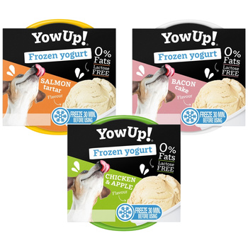PRZYSMAK DLA PSA JOGURT DO MROŻENIA LODY MIX SMAKÓW YOW UP! 3x110g