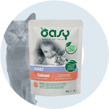 OASY CHUNKS IN GRAVY MOKRA KARMA DLA KOTA ŁOSOŚ W SOSIE SASZETKA 85g
