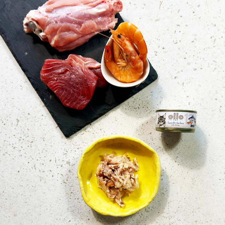 OLLO nr12 MOKRA KARMA W PUSZCE DLA KOTA KOCIĄT NATURALNA TUŃCZYK KURCZAK KREWETKI 70g