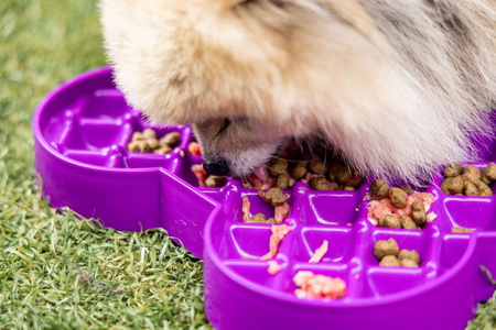 MISKA SPOWALNIAJĄCA JEDZENIE TACKA DO LIZANIA DLA MAŁEGO PSA LICKIMAT SLODOG RÓŻOWA 25x19cm