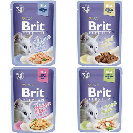 BRIT PREMIUM CAT POUCH GRAVY JELLY FAMILY PLATE MIX SMAKÓW W GALARECIE 12x85g