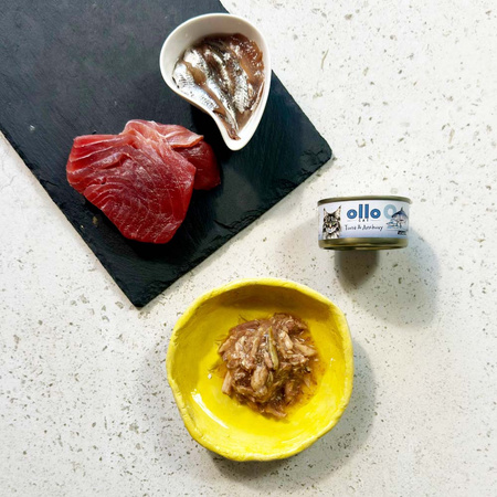 OLLO nr9 MOKRA KARMA W PUSZCE DLA KOTA KOCIĄT NATURALNA TUŃCZYK I ANCHOIS 70g