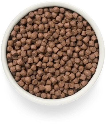 GRANDORF FRESH MINI KACZKA SUCHA KARMA HIPOALERGICZNA DLA PSA 3kg