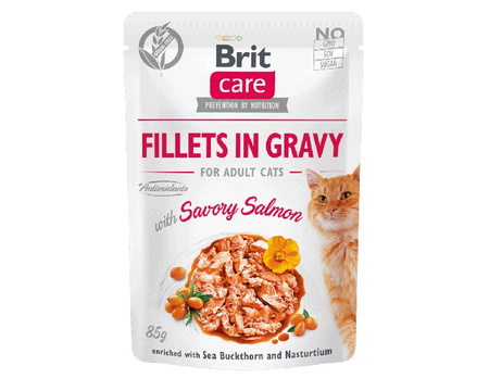 BRIT CARE CAT MOKRA KARMA DLA KOTA FILETY Z ŁOSOSIEM SOS SASZETKA 12x85g