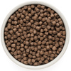 GRANDORF 4 MEAT MEDIUM MAXI ADULT 4 MIĘSA SUCHA KARMA DLA PSA 10kg