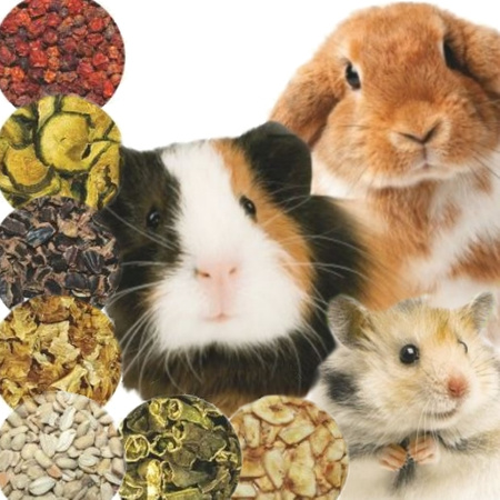 NESTOR SNACKS PRZYSMAK GRYZAK DLA GRYZONI I KRÓLIKÓW LARWY MĄCZNIKA 20g