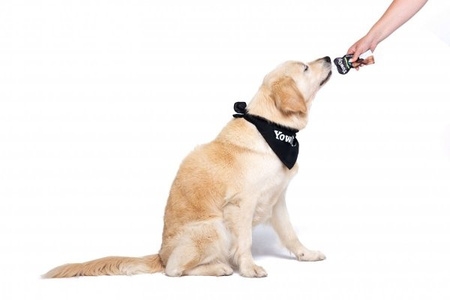 PRZYSMAK DLA PSA JOGURT L.CASEI IMMUNE BEZ LAKTOZY TŁUSZCZU I CUKRU PROBIOTYKI YOW UP! 115g