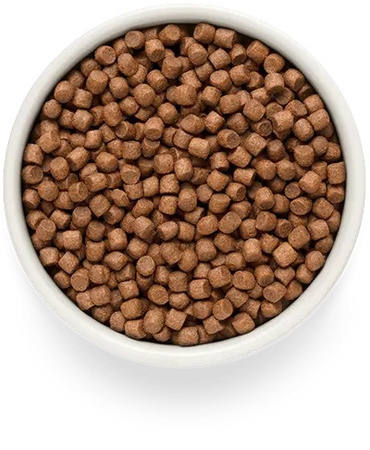 GRANDORF FRESH SALMON MINI ŁOSOŚ KARMA SUCHA DLA PSA 1kg