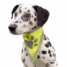 APASZKA ODBLASKOWA BANDAMKA DLA PSA L-XL 43-60cm