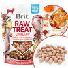 BRIT RAW TREAT URINARY TURKEY 40g