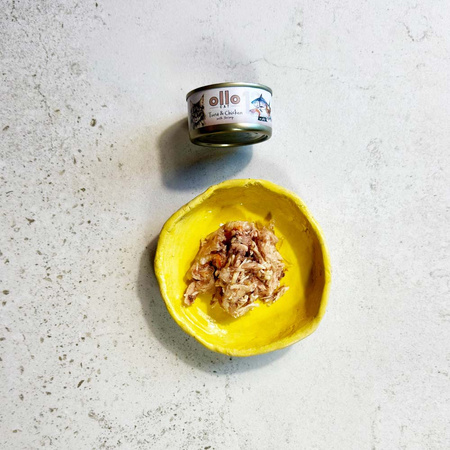 OLLO nr12 MOKRA KARMA W PUSZCE DLA KOTA KOCIĄT NATURALNA TUŃCZYK KURCZAK KREWETKI 12x70g