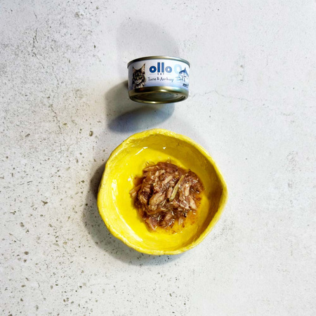 OLLO nr9 MOKRA KARMA W PUSZCE DLA KOTA KOCIĄT NATURALNA TUŃCZYK I ANCHOIS 70g