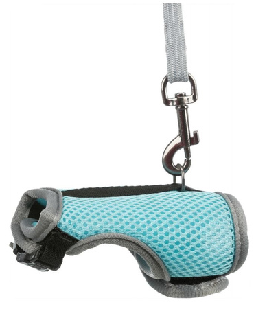 TRIXIE SZELKI PEŁNE + SMYCZ DLA SZCZURA