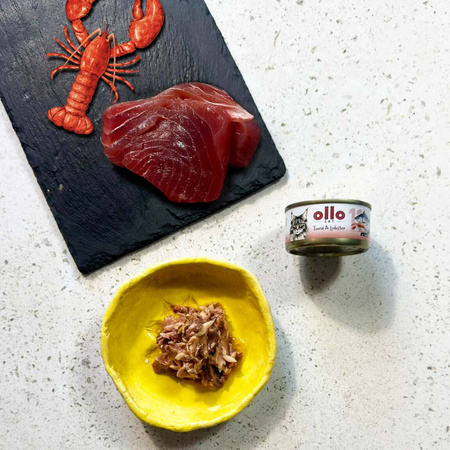  OLLO nr11 MOKRA KARMA W PUSZCE DLA KOTA KOCIĄT NATURALNA TUŃCZYK I HOMAR 70g