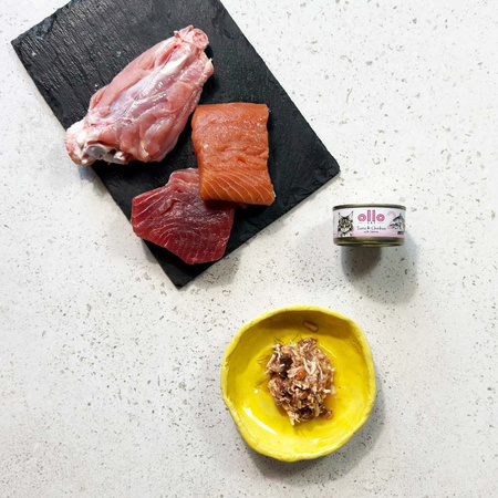 OLLO nr2 MOKRA KARMA W PUSZCE DLA KOTA KOCIĄT NATURALNA TUŃCZYK KURCZAK ŁOSOŚ 12x70g