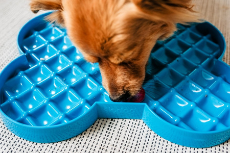 MISKA SPOWALNIAJĄCA JEDZENIE TACKA DO LIZANIA DLA PSA LICKIMAT SLODOG CZARNA 35x26cm