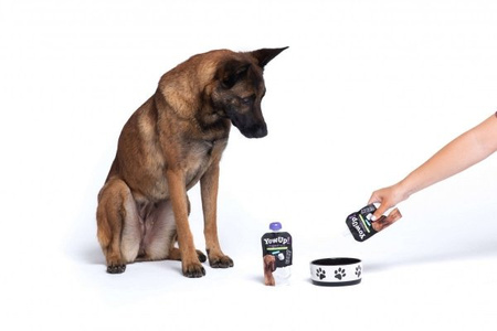 PRZYSMAK DLA PSA JOGURT L.CASEI IMMUNE BEZ LAKTOZY TŁUSZCZU I CUKRU PROBIOTYKI YOW UP! 115g