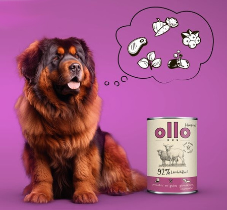 OLLO UMAMI MOKRA KARMA DLA DOROSŁYCH PSÓW JAGNIĘCINA Z WOŁOWINĄ 850g