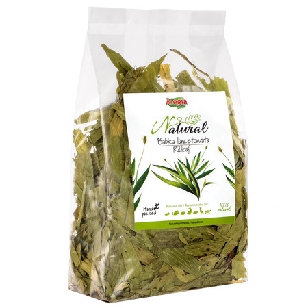 ALEGIA BABKA LANCETOWATA NATURALNY PRZYSMAK DLA GRYZONI I KRÓLIKÓW 300g