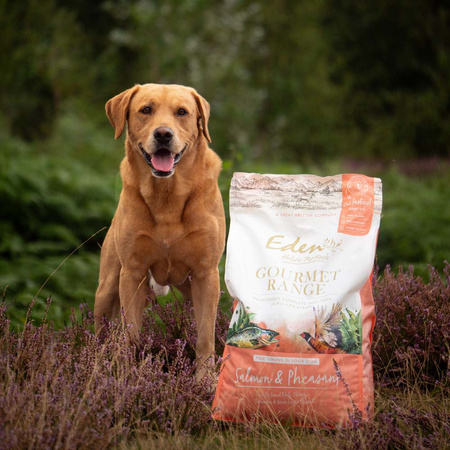 EDEN GOURMET KARMA SUCHA PEŁNOPORCJOWA DLA SZCZENIĄT PSÓW DOROSŁYCH SENIORÓW ŁOSOŚ I BAŻANT 2kg