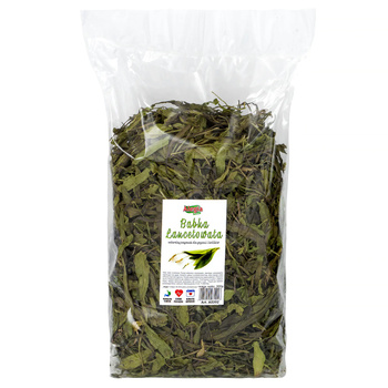 ALEGIA BABKA LANCETOWATA NATURALNY PRZYSMAK DLA GRYZONI I KRÓLIKÓW 100g