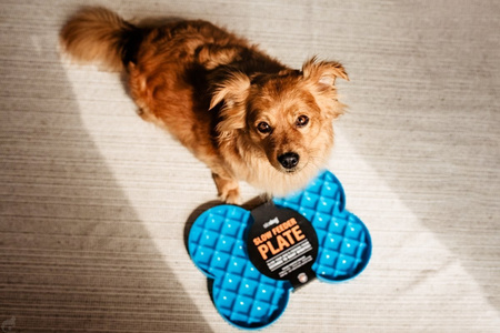 MISKA SPOWALNIAJĄCA JEDZENIE TACKA DO LIZANIA DLA PSA LICKIMAT SLODOG CZARNA 35x26cm