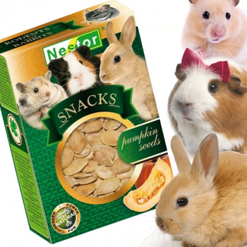 NESTOR SNACKS PRZYSMAK GRYZAK DLA GRYZONI I KRÓLIKÓW PESTKI DYNI 40g