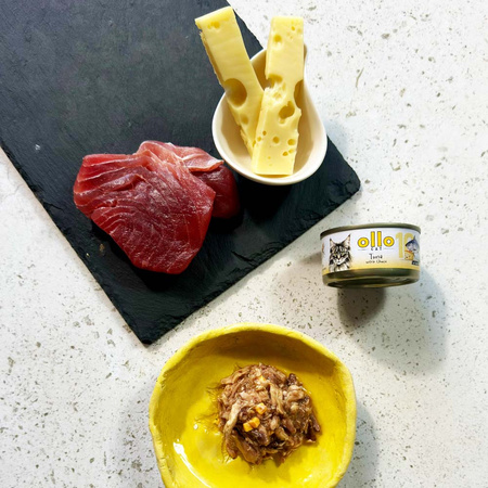 OLLO nr10 MOKRA KARMA W PUSZCE DLA KOTA KOCIĄT NATURALNA TUŃCZYK Z SEREM 12x70g