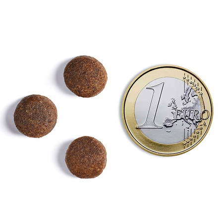 AMBROSIA SENSITIVE DELIKATNA SUCHA KARMA DLA PSA INDYK KRÓLIK 2kg