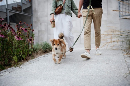 StarchBag WORKI NA ODCHODY PSA PSIE KUPY BIODEGRADOWALNE CZARNE 21x32cm 120szt 8x15szt