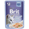 BRIT PREMIUM CAT POUCH GRAVY JELLY FAMILY PLATE MIX SMAKÓW W GALARECIE 12x85g