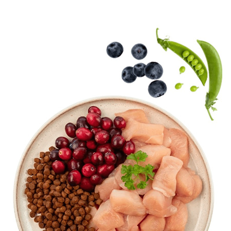 SANABELLE SENIOR HUHN KOMPLETNA SUCHA KARMA DLA KOTA KURCZAK 400g