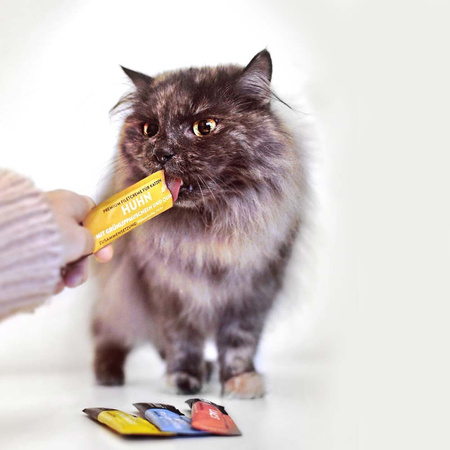 MOONLIGHT DINNER CREME SOS POLEWA PRZYSMAK DLA KOTA KACZKA I KOCIMIĘTKA 4x15g