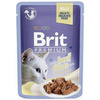 BRIT PREMIUM CAT POUCH GRAVY JELLY FAMILY PLATE MIX SMAKÓW W GALARECIE 12x85g