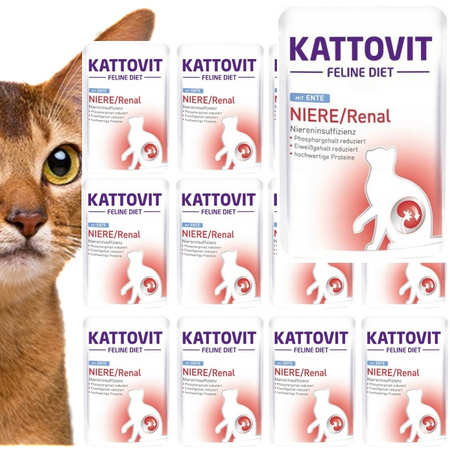 KATTOVIT RENAL KARMA POKARM DLA KOTA WSPIERAJĄCY PRACĘ NEREK KACZKA 12x85g