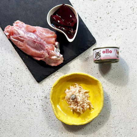 OLLO nr7 MOKRA KARMA W PUSZCE DLA KOTA KOCIĄT NATURALNA KURCZAK I SERCA Z KURCZAKA 12x70g