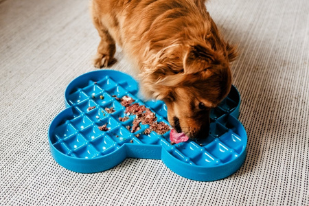 MISKA SPOWALNIAJĄCA JEDZENIE TACKA DO LIZANIA DLA PSA LICKIMAT SLODOG CZARNA 35x26cm