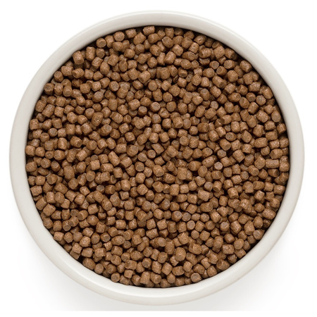 GRANDORF LAMB TURKEY KITTEN JAGNIĘCINA INDYK KARMA DLA KOCIĄT 400g