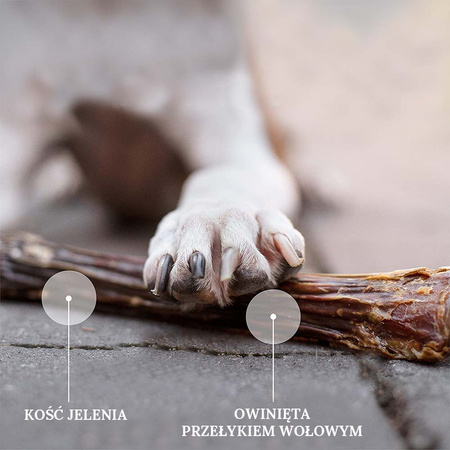ZIWI PEAK CHEWS DOG DEER SHANK CAŁA KOŚĆ Z JELENIA PRZYSMAK GRYZAK DLA PSA