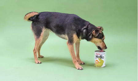 COMFY APPETIT MONO MONOPROTEINOWA KARMA DLA PSA KRÓLIK 400g