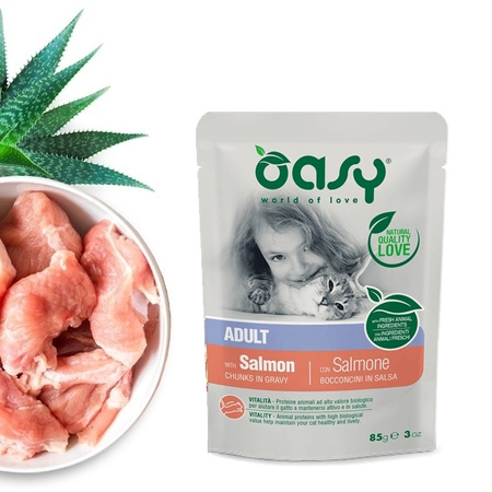 OASY CHUNKS IN GRAVY MOKRA KARMA DLA KOTA ŁOSOŚ W SOSIE SASZETKA 85g