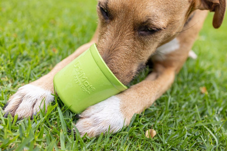 MATA TACKA DO LIZANIA DLA PSA KOTA ANTYSTRESOWA SPOWALNIAJĄCA JEDZENIE LICKIMAT YOGGIE POT RÓŻOWA 9,5x9cm