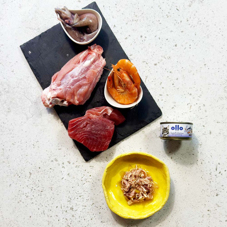 OLLO nr4 MOKRA KARMA W PUSZCE DLA KOTA KOCIĄT NATURALNA TUŃCZYK KURCZAK KAŁAMARNICA KREWETKI 12x70g