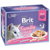 BRIT PREMIUM CAT POUCH GRAVY JELLY FAMILY PLATE MIX SMAKÓW W GALARECIE 12x85g