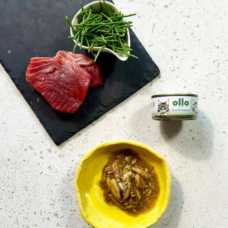  OLLO nr8 MOKRA KARMA W PUSZCE DLA KOTA KOCIĄT NATURALNA TUŃCZYK I WODOROSTY 70g