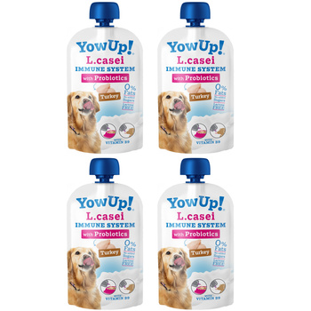 PRZYSMAK DLA PSA JOGURT L.CASEI IMMUNE BEZ LAKTOZY TŁUSZCZU I CUKRU PROBIOTYKI YOW UP! 4x115g