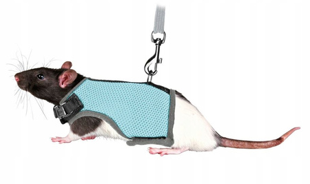 TRIXIE SZELKI PEŁNE + SMYCZ DLA SZCZURA